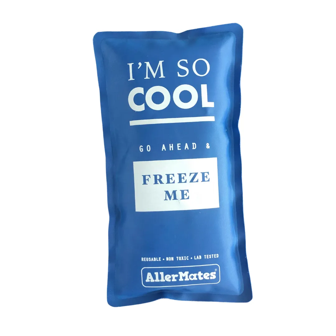 Long Lasting Ice Pack (sz: Large)